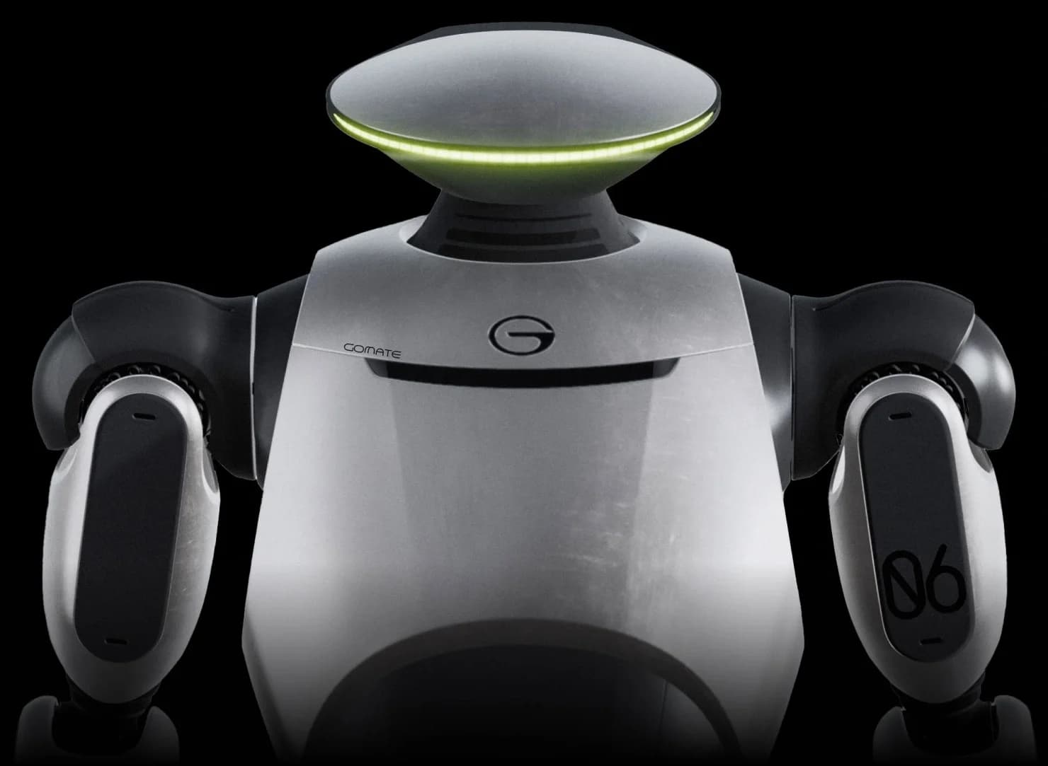 GoMate humanoid robot